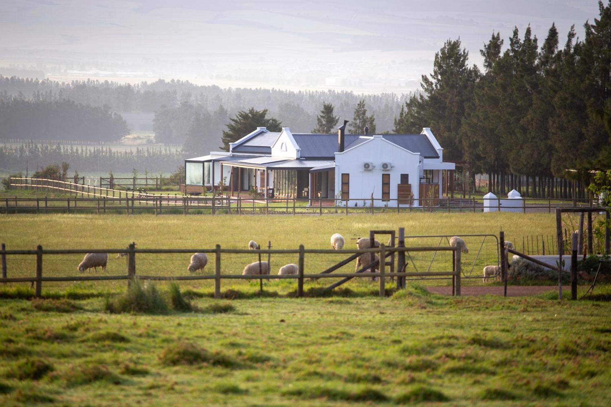 Raptor Rise Tulbagh Exterior foto